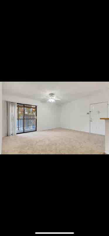 Condo Master Bedroom!