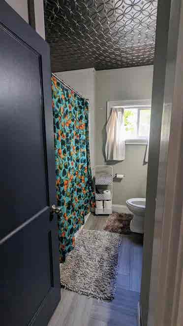 Seeking single tenant without pet