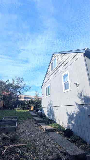 Seeking single tenant without pet