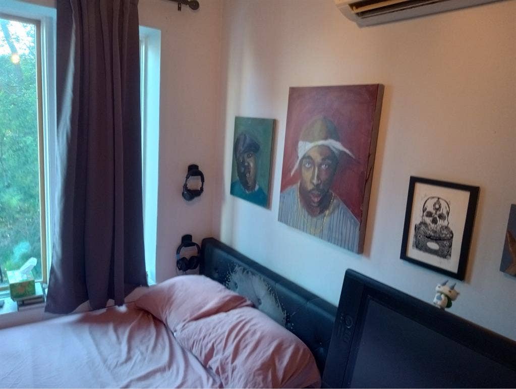 Looking for a chill roommate