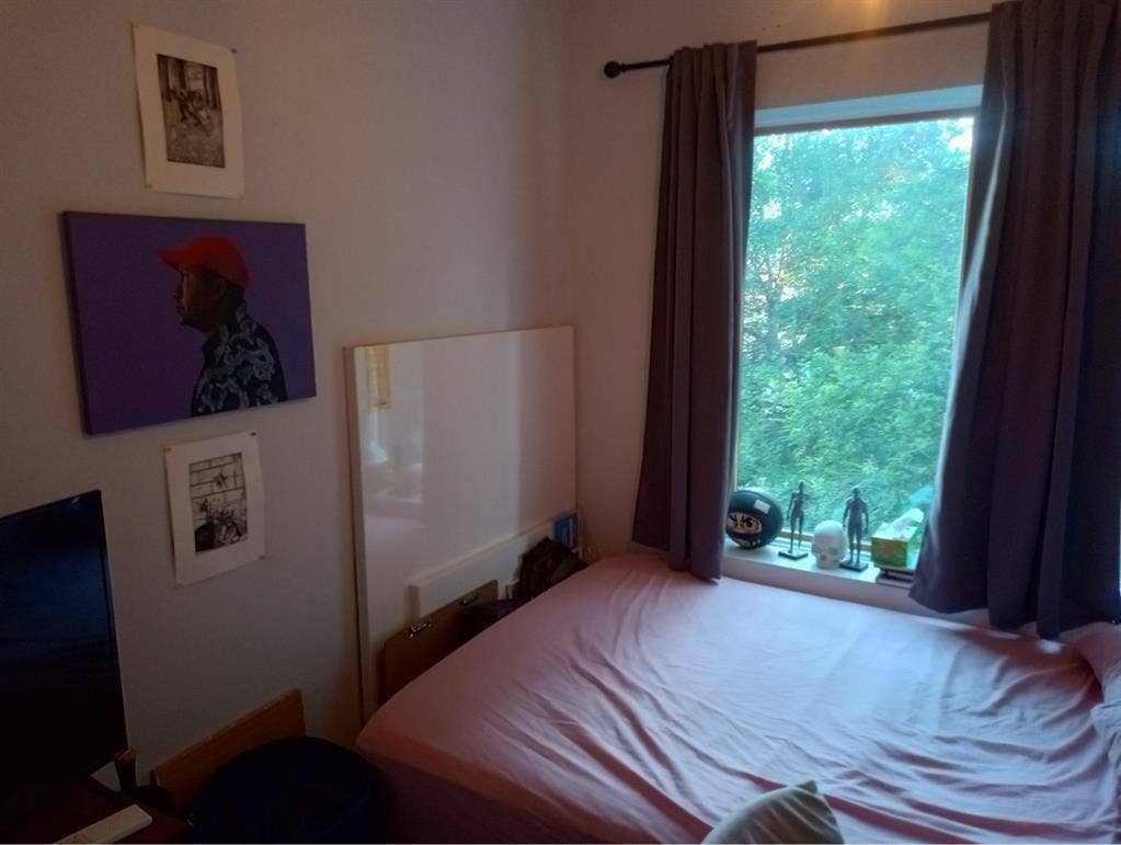 Looking for a chill roommate