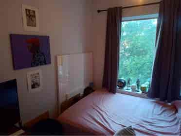 Looking for a chill roommate