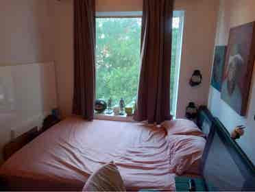 Looking for a chill roommate