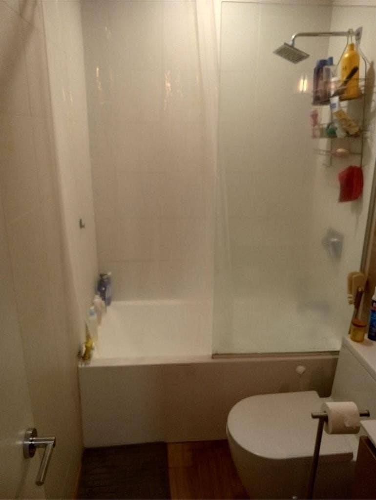 Looking for a chill roommate