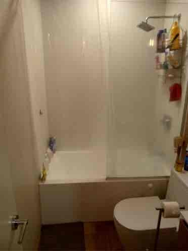 Looking for a chill roommate