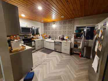 Seeking single tenant without pets