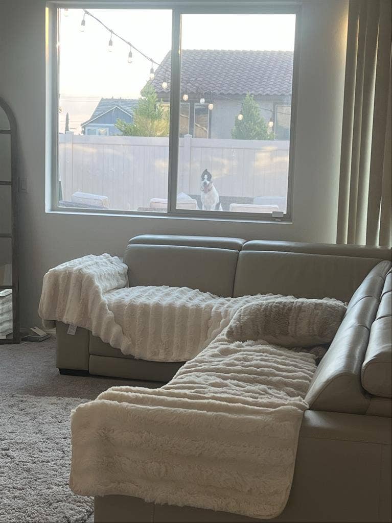 Clean room and environment