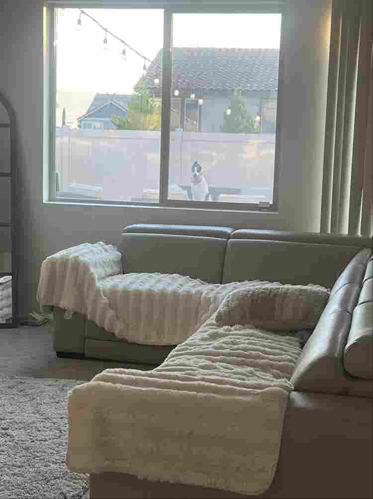 Clean room and environment