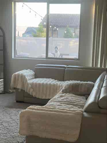 Clean room and environment