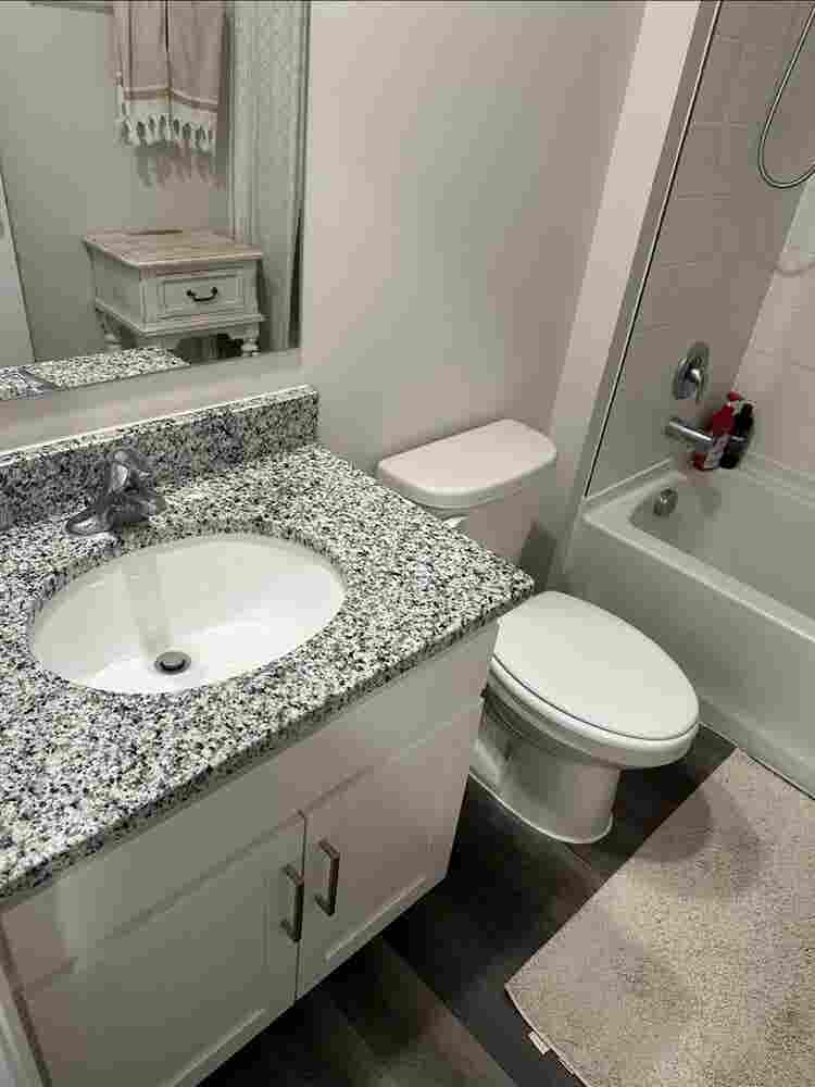 Female Roommate Needed!
