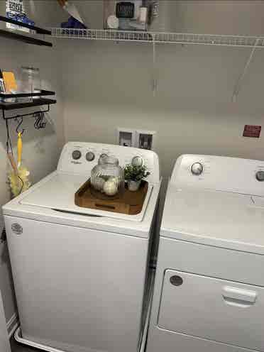 Female Roommate Needed!
