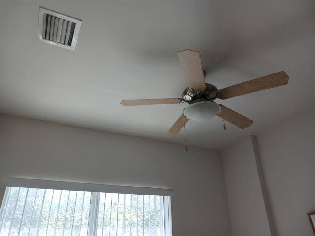 Roommate Wanted