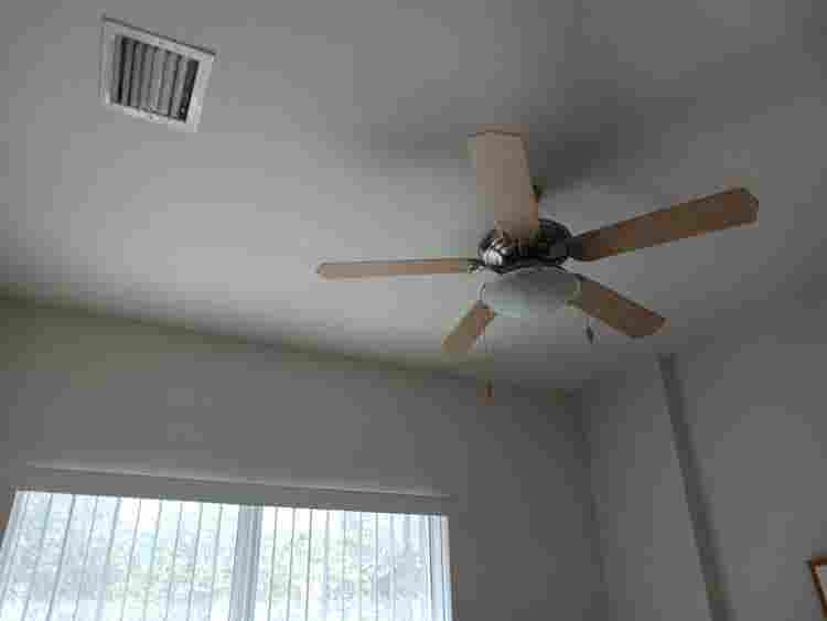 Roommate Wanted