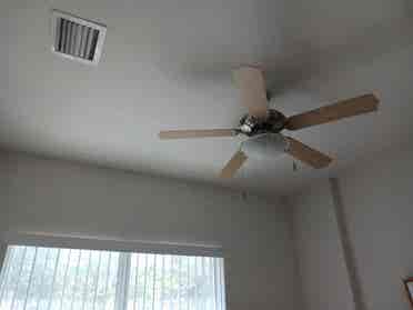 Roommate Wanted