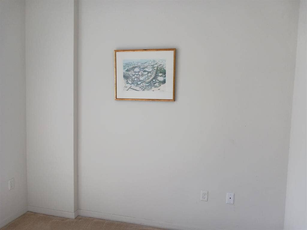 Roommate Wanted