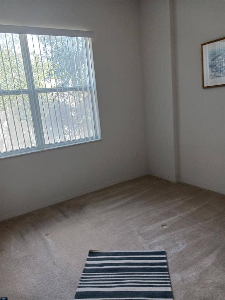 Roommate Wanted
