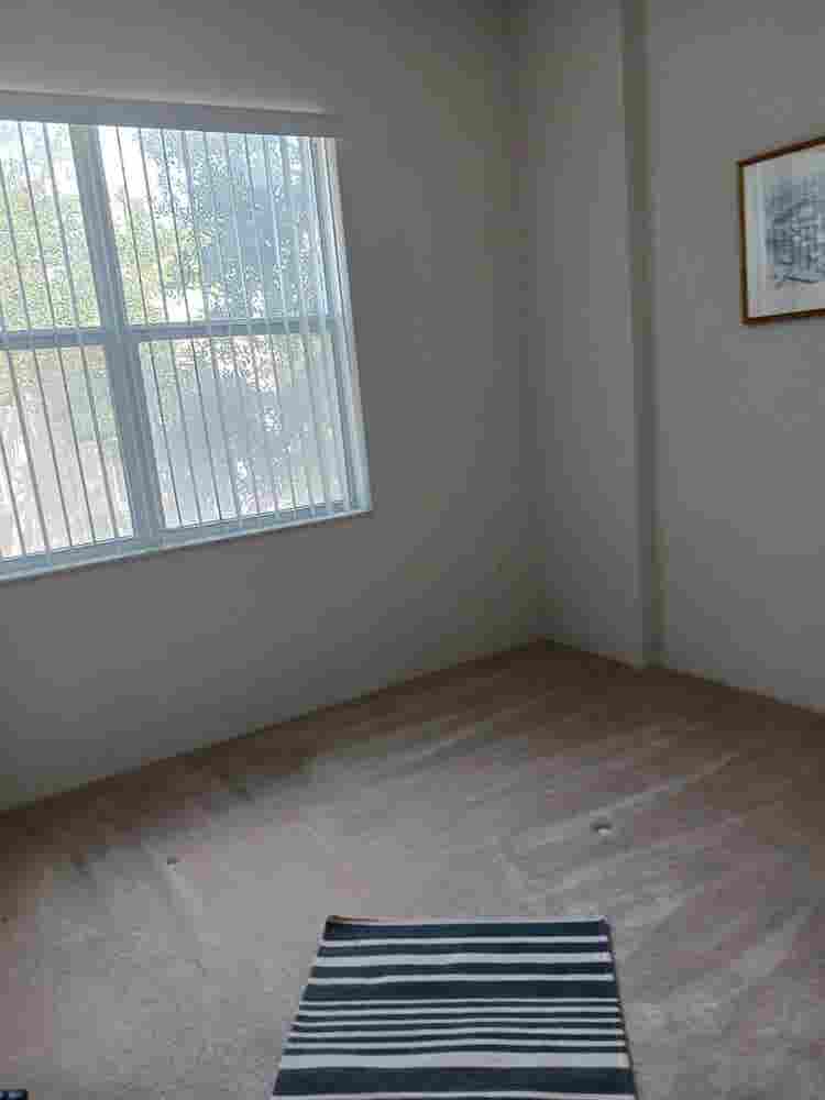 Roommate Wanted
