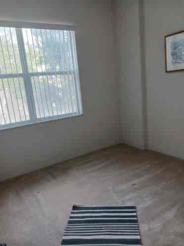 Roommate Wanted