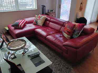 Roommate Wanted