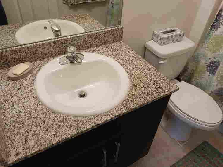 Roommate Wanted