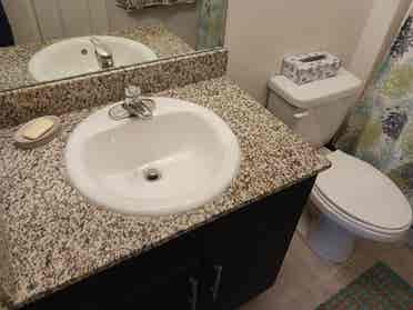 Roommate Wanted