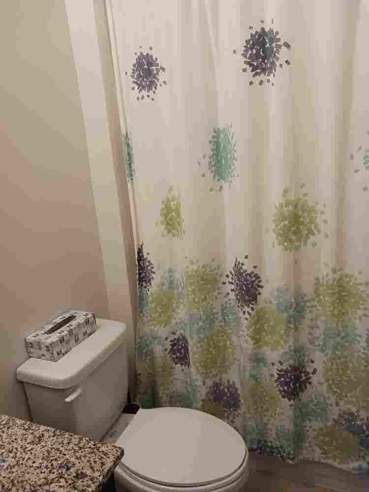 Roommate Wanted