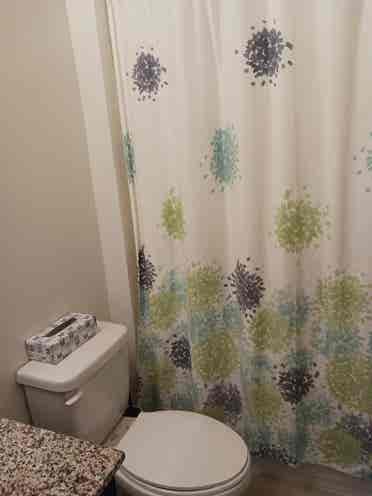 Roommate Wanted