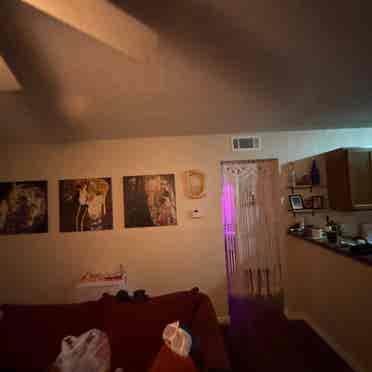 Room for rent in San Marcos