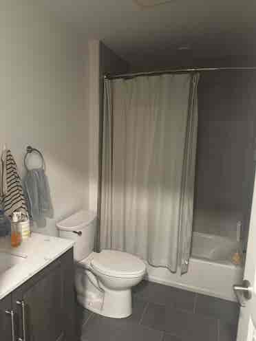 1 Room Available in Bath