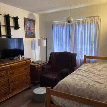 Roommate Wanted