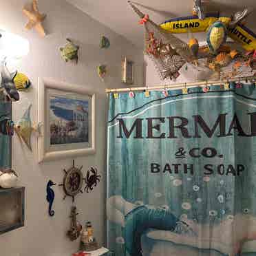 Roommate Wanted