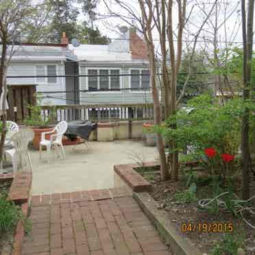 Mt Pleasant/Room in duplex apt