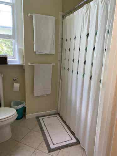 Mt Pleasant/Room in duplex apt
