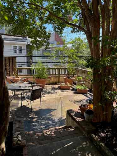 Mt Pleasant/Room in duplex apt