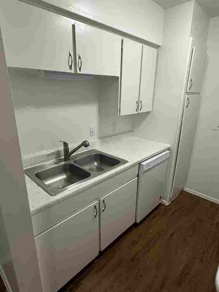 Roommate needed