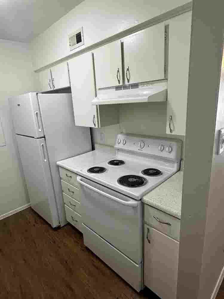 Roommate needed