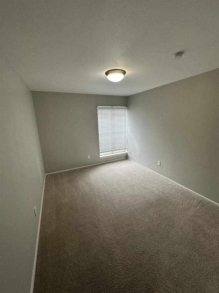 Roommate needed