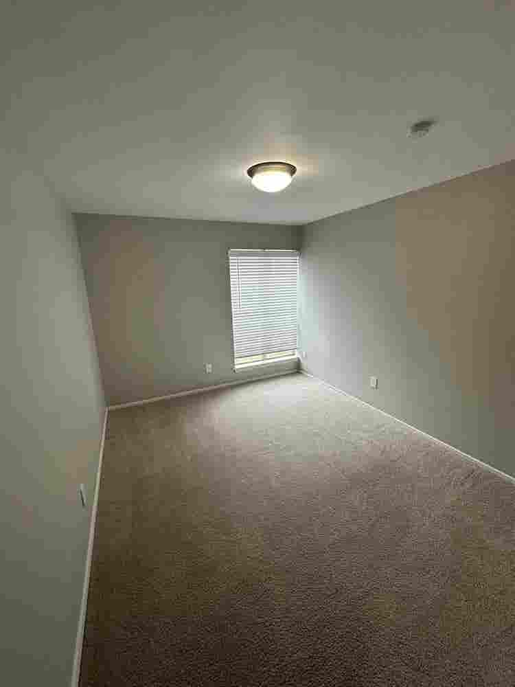 Roommate needed