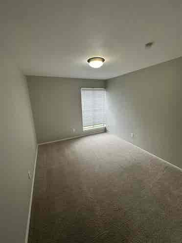 Roommate needed