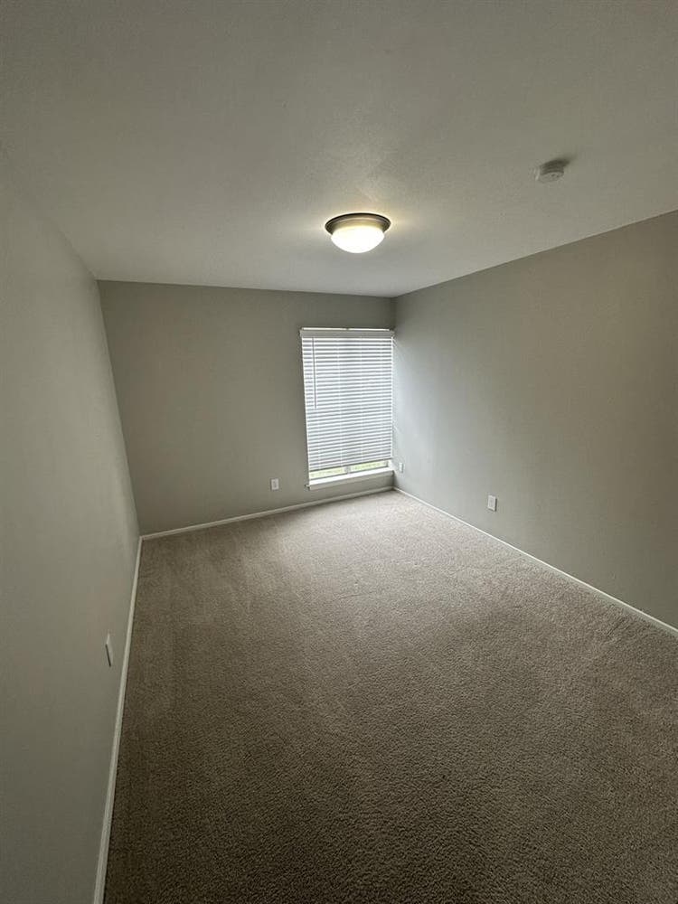 Roommate needed