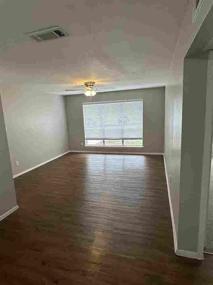 Roommate needed