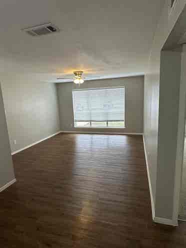 Roommate needed