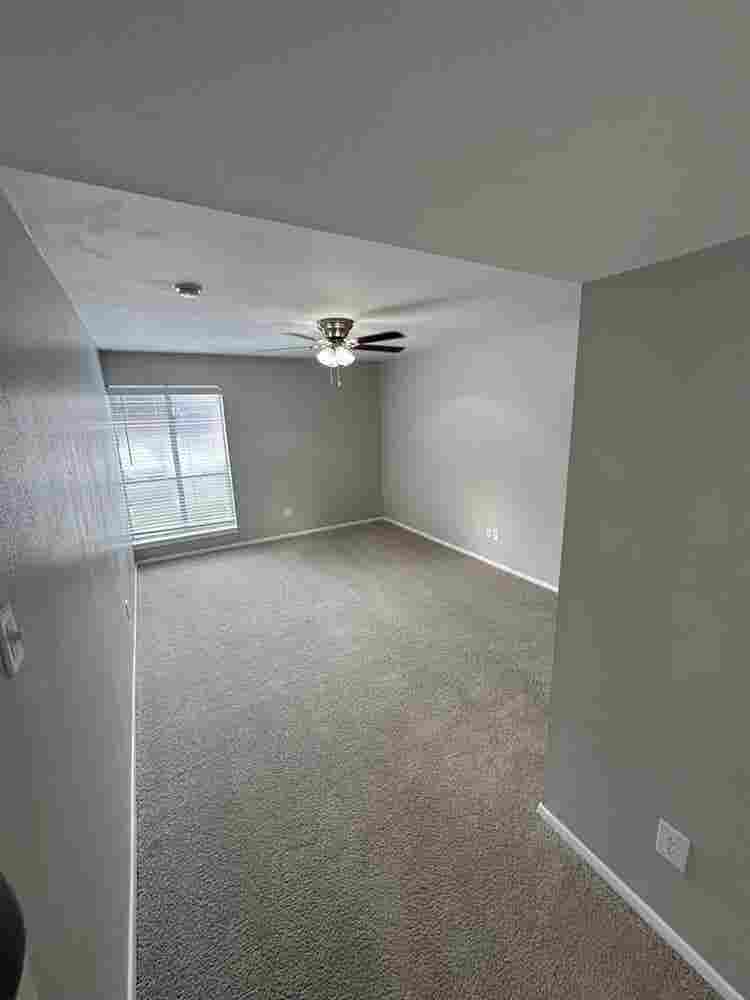 Roommate needed