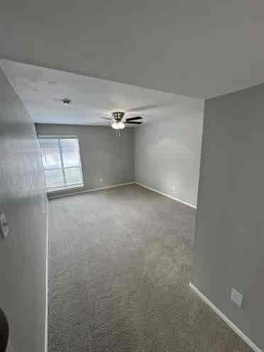 Roommate needed