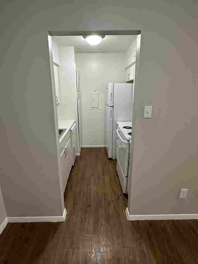 Roommate needed