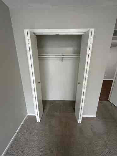 Roommate needed