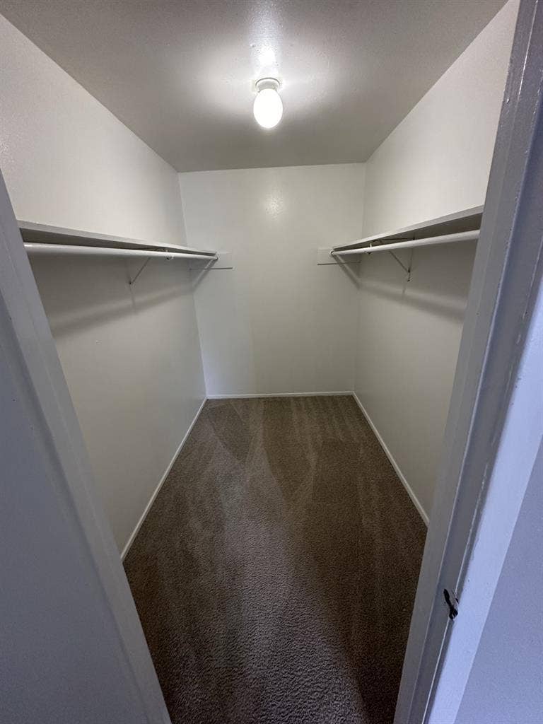 Roommate needed
