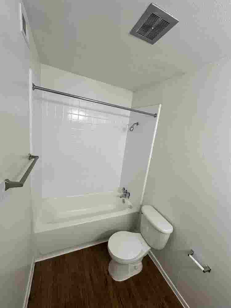Roommate needed