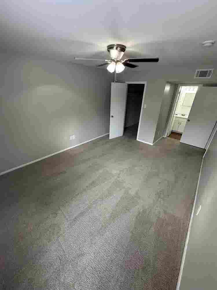Roommate needed