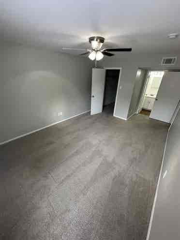 Roommate needed
